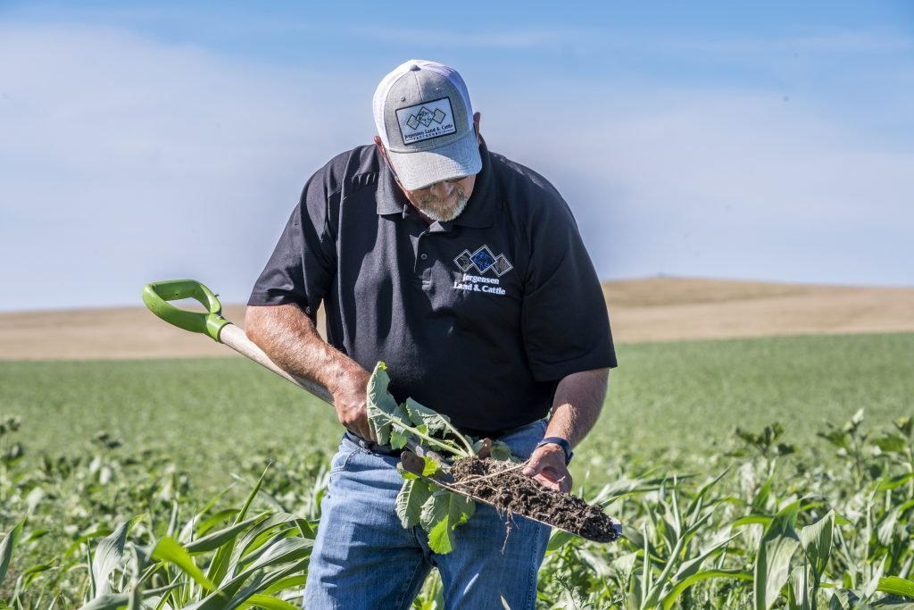 Stewarding Land Through Generational Practices Offers Vital Lessons